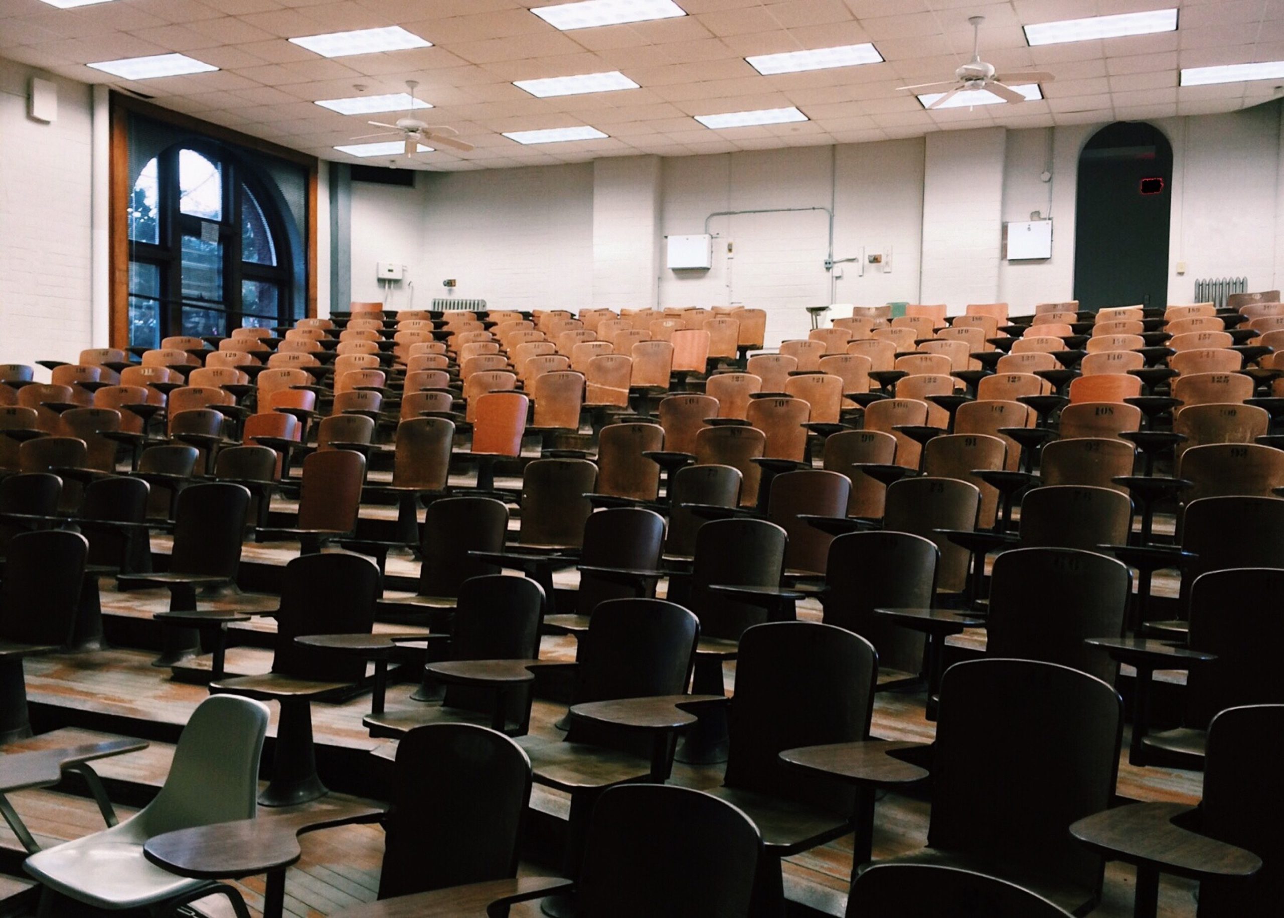 The role of education