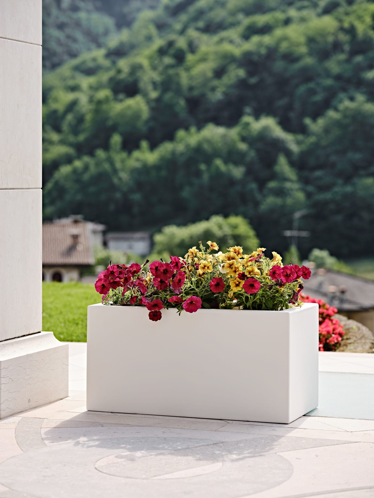 SCHIO CASSA MAXI
