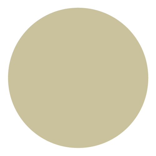 LIGHT KHAKI