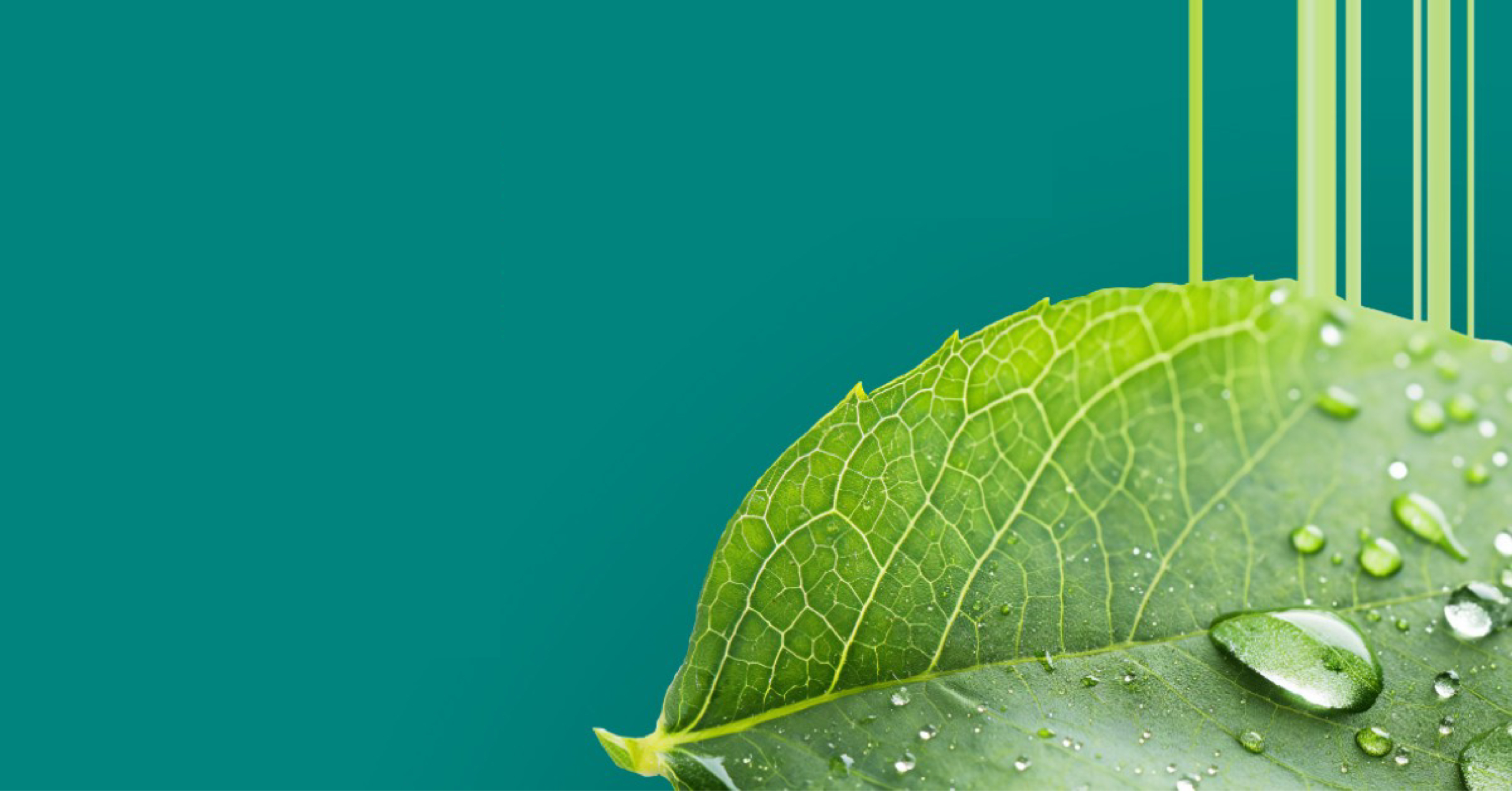 Tera partecipa a Paysalia 2025